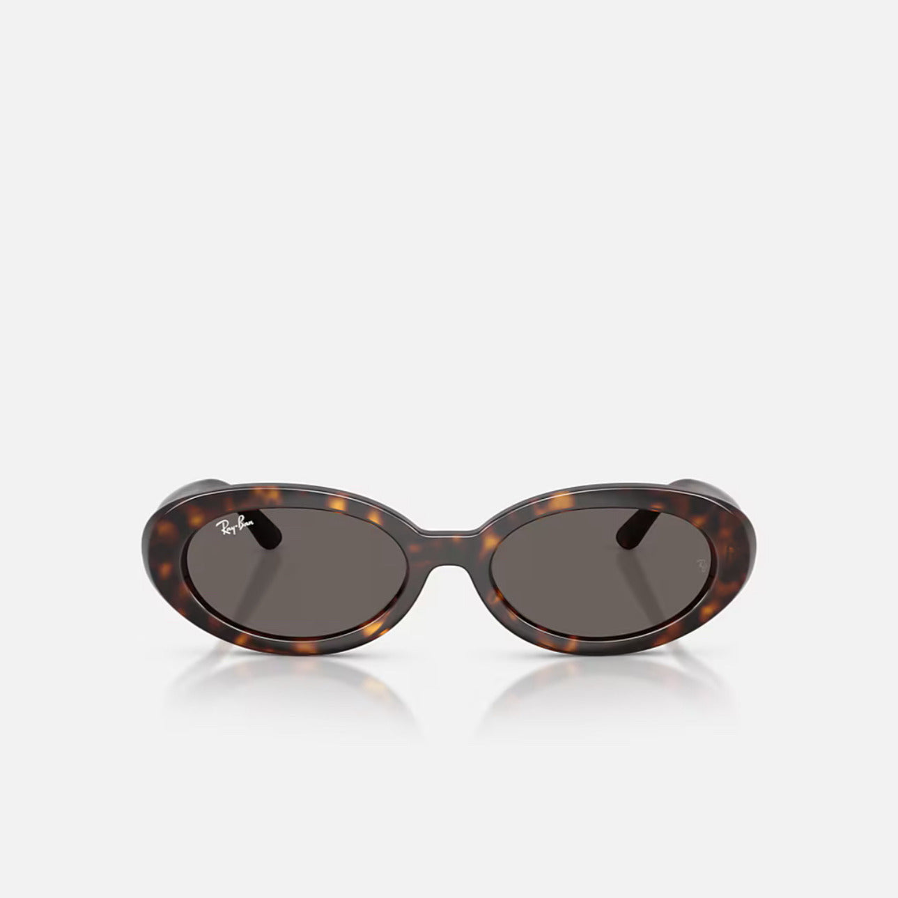 Ray-Ban RB2223 Polished Havana Frame Dark Grey Lens